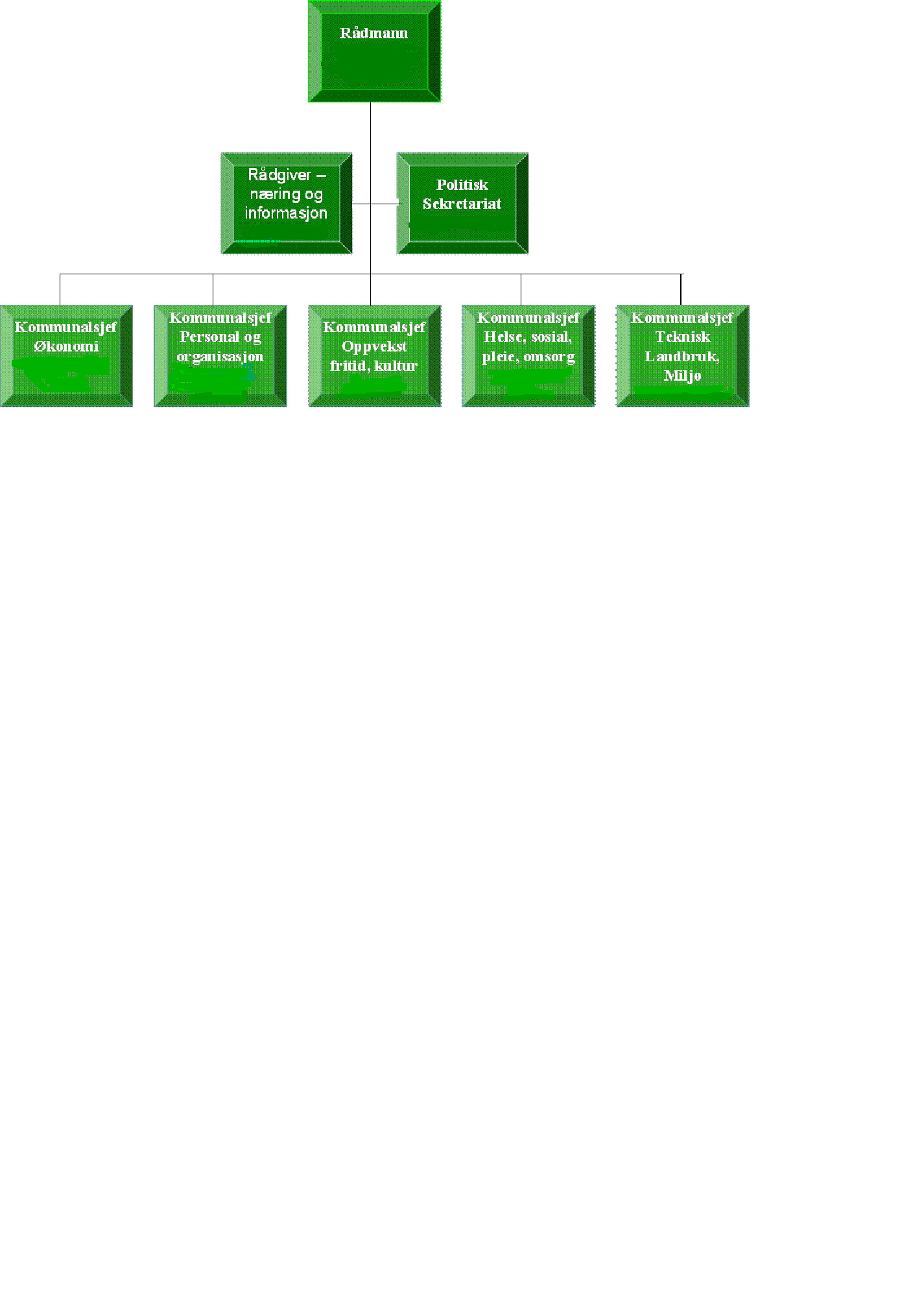 Figur 1. Administrativt organisasjonskart Snillfjord Kilde: Hjemmeside Snillfjord kommune Figur 2.