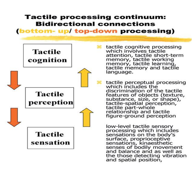 etterpå. (Se Figur 5) Helhetlig forståelig i taktil modalitet Antonovskys teori om Sense of coherence, beskriver en flow mellom forståelighet, håndterbarhet og meningsfullhet. (Antonovsky 2000).