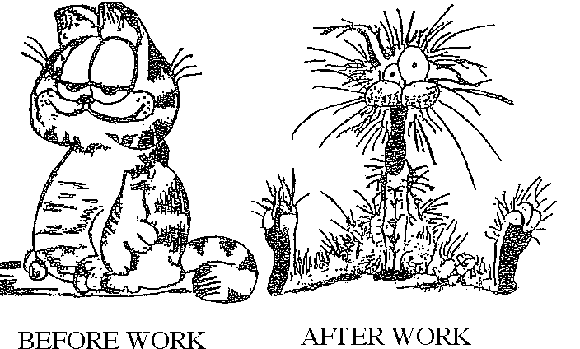 Utfordringer v/ undersøkelse av barn med FAS/FAE (både for barn og fagperson.