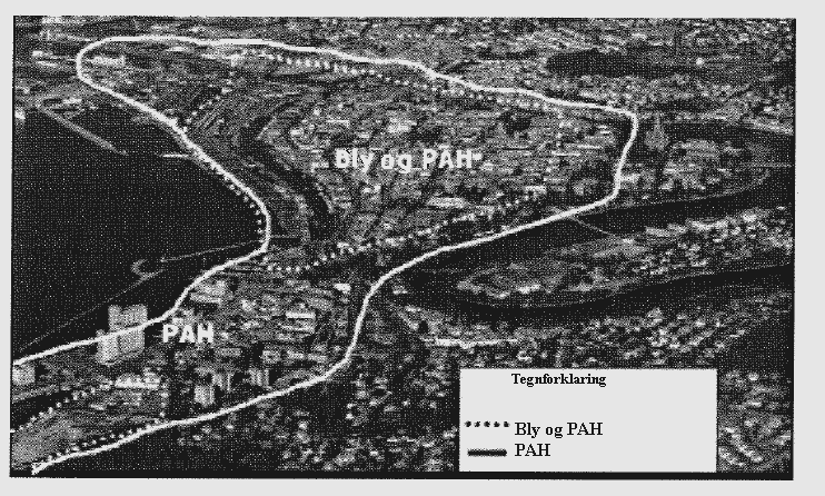 Valg av barnehager 1.2.3 Undersøkelsen i 1999-2000 Det ble utført prøvetaking av både havnesedimenter og jordprøver, for å kartlegge grunnen i hele Trondheim kommune i 1999-2000 (Ottesen et.