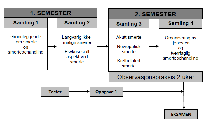 2014-2015 Side 6/10 IKT anvendes som verktøy for kommunikasjon, informering og kunnskapsinnhenting. Det forutsettes at studentene har tilgang til PC og grunnleggende ferdigheter i bruken av IKT.