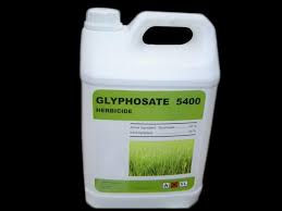 «.the highly pathogenic bacteria [..] are highly resistantto glyphosate. However, most of beneficial bacteria [ ] were found to be moderately to highly susceptible.