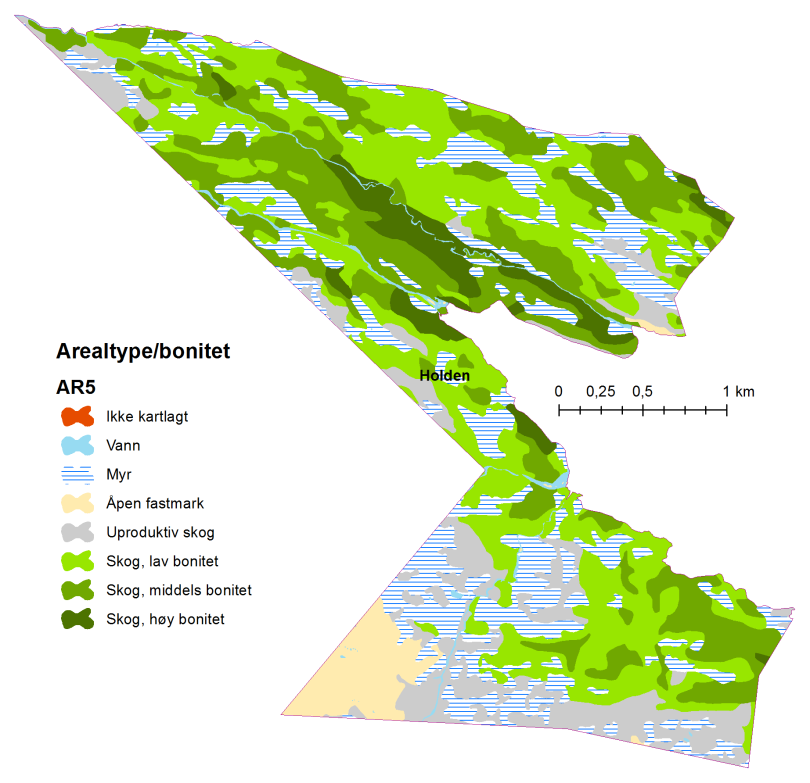 Åneselva.