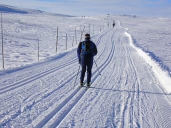 LANGRENNS TUR Ta fram langrennsskiene og la en utdannet langrenns guide ta deg gjennom det mektige vinter landskapet.