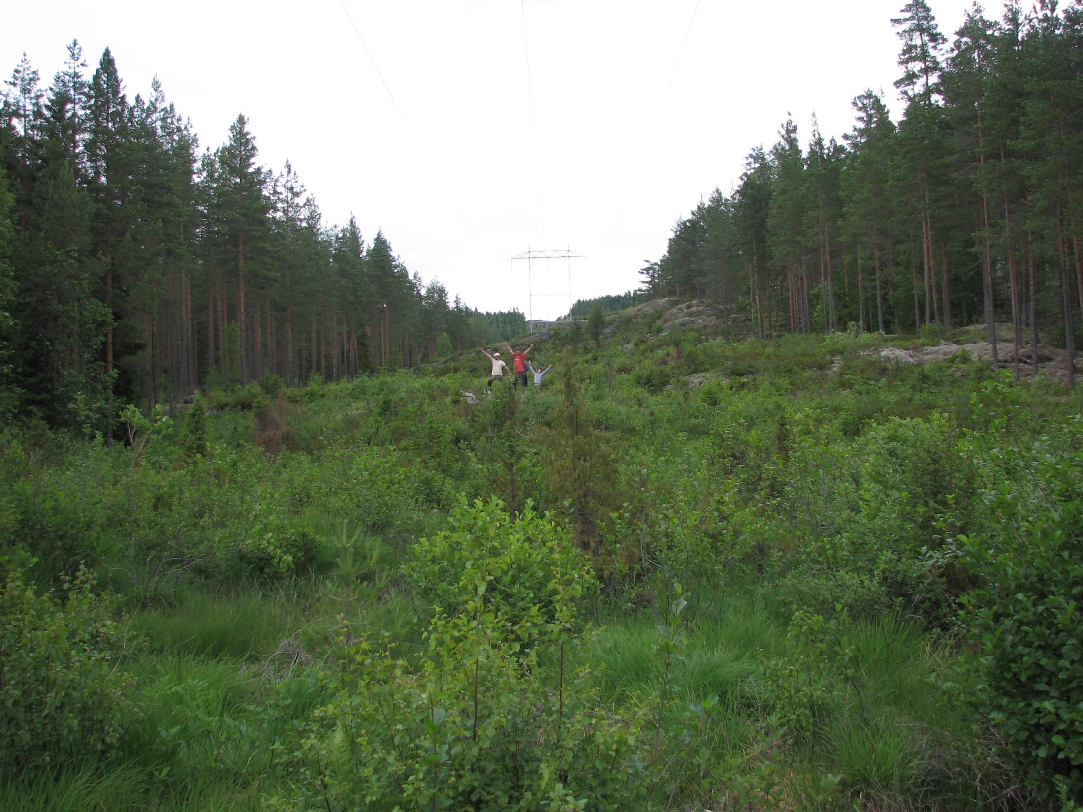 i 2010 >> 1: Også 100 m inn i skogen >> 2: Tittelside: Her legger du inn foredragets tittel og navn.