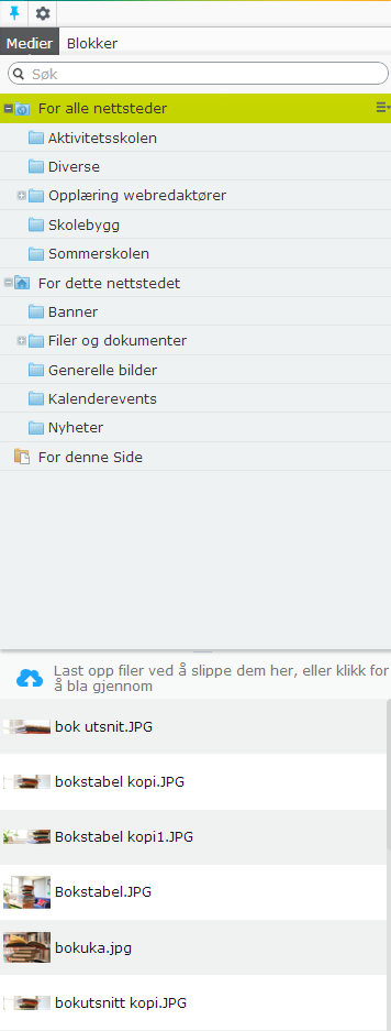 Versjonsnr. 1.3 Side 6 2.2.2 Ressursfelt: Bibliotek for blokker og medier Ressursfeltet er et bibliotek for oppbevaring av medieinnhold (f.eks. bilder og filer) og blokker. Alle bilder osv.