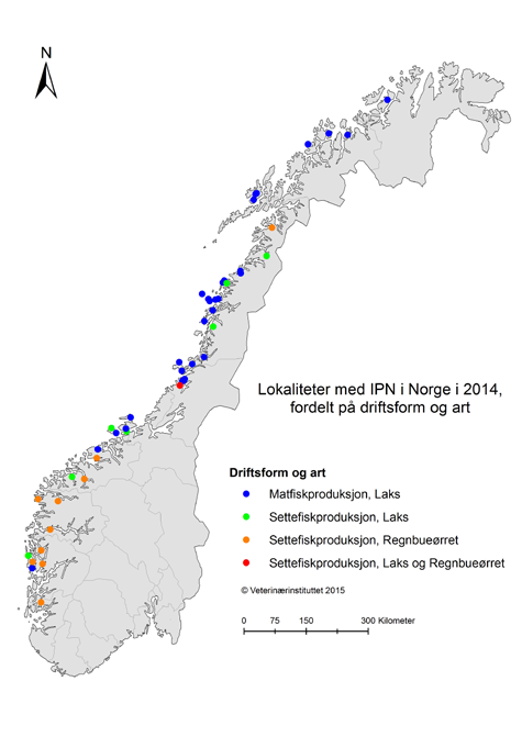 sammenlignet med tidligere år (se tabell). Registreringene er basert på innsenderinger til Veterinærinstituttet.