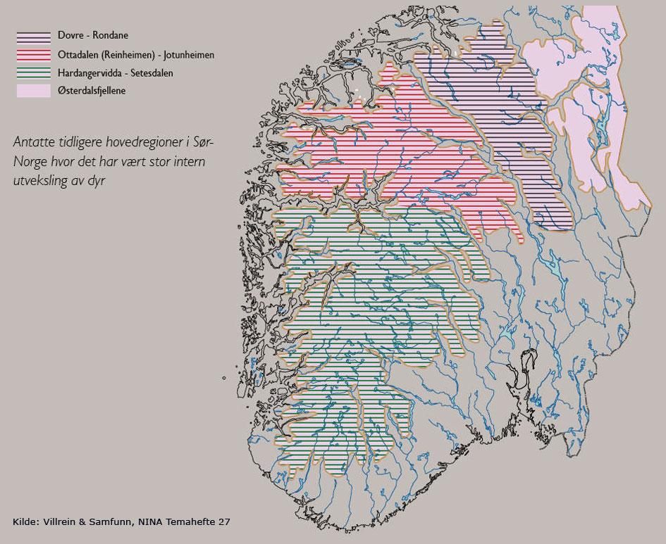 Figur 2 Oversikt over antatt tidligere regiondeling for fire større villreinpopulasjoner i Sør-Norge. Kilde: Andersen og Hustad (2004).