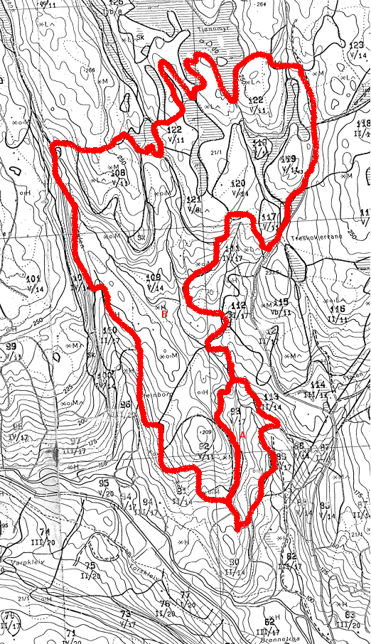 MASSEUTTAK/-DEPONI - DRIVENES Planbeskrivelse med KU Figur 4. Området for "Rik edelløvskog" markert som område A. Det går en større bekk (Drivenesbekken) i sørenden av planområdet.