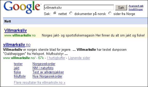 Hvordan rangeres nettsider? Side 14 Rangering = 0.30x(Alder) + 0.40x(Nøkkelordtetthet) + 0.30x(Nøkkelordenes plassering).