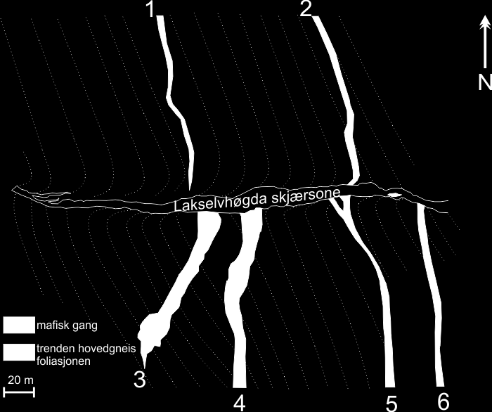 Kapittel 2 Litologi Gangene er stortsett udeformerte og kutter foliasjonen i den tonalittiske gneisen med høy vinkel Figur 2.