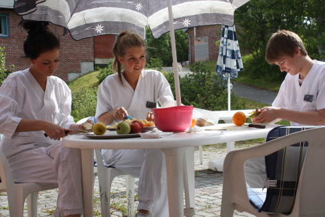 denne oppgaven. Elevene ble da veiledet i å lage trollkrem, smootie, fruktsalat og gjennomføre trimøvelser.