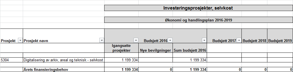 Investeringsbudsjett i