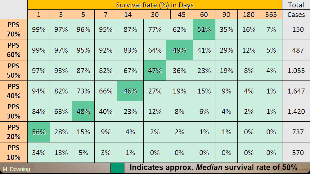 Palliative performance scale Michael