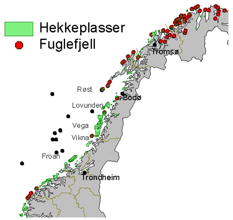 Tabell 5.1 Omtrentlige tall for hekkende par sjøfugl i de viktigste fuglefjellene innenfor influensområdet. Koloni Kommune Krykkje Alke Lomvi Lunde Nord-Fugløy Karlsøy - 10.000 100 220.