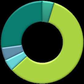 Inntektsfordeling (prosent) Inntektsfordeling (prosent) Utgiftsfordeling (prosent) Aksjeutbytte; 74; 2% Kapitalinntekter; 68; 2% Øvrige inntekter; 451; 14% Fylkesskatt; 1527; 46% Rammetilskudd; 1169;