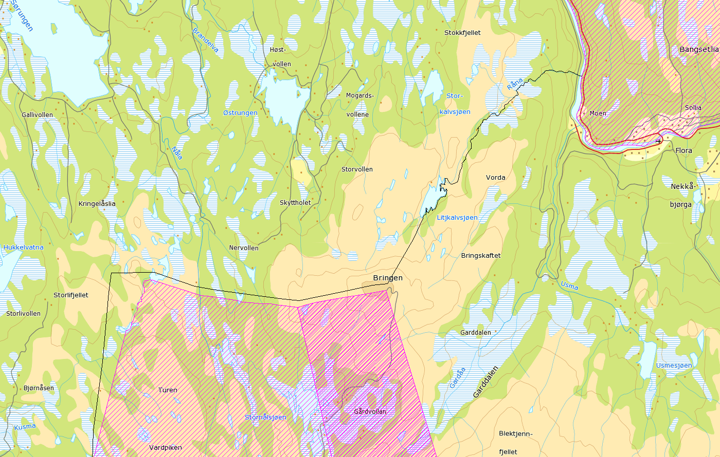 Figur 14. Viser vårbeite 1 ligger langs hele kommunegrensen opp til Bringen og Renåa. Sommerbeite Figur 15.