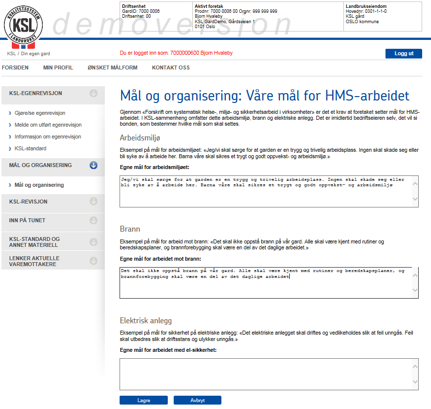 Skriv inn mål for de forskjellige områdene i rutene. Husk å lagre Mål og organisering skal være skrevet ned ifølge internkontrollforskriften.