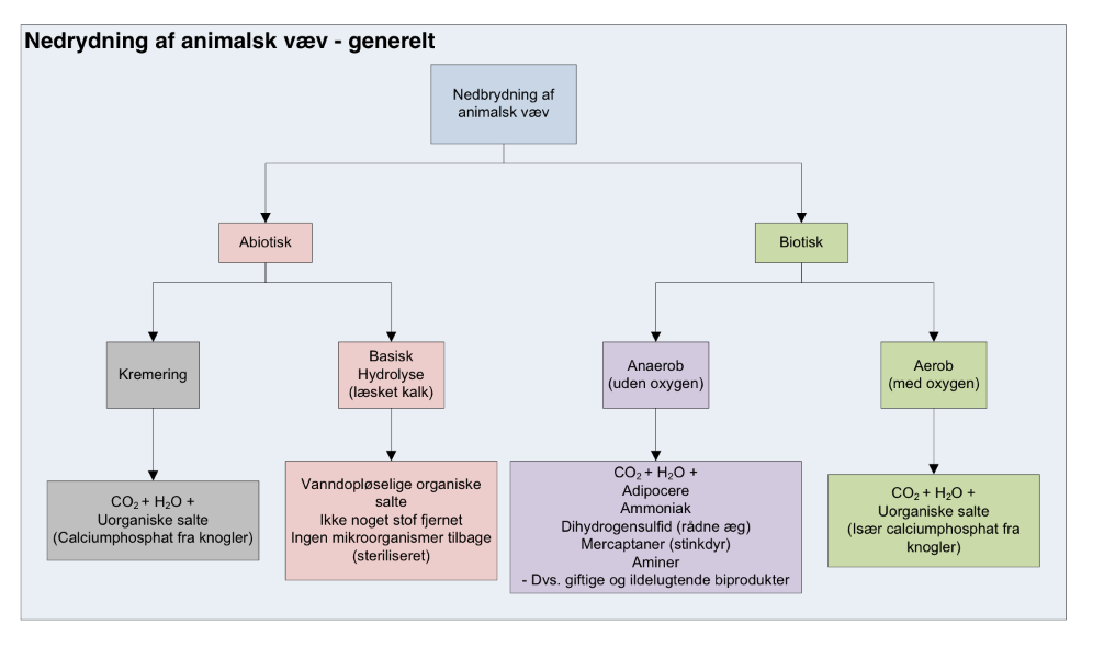 Kalkbehandling - hva