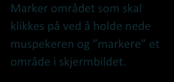 Klikk på Lydikonet for å legge til lyd på skjermbildet. Klikk på Tasteikonet lengst til høyre for å definere eventuell tastekombinasjon.