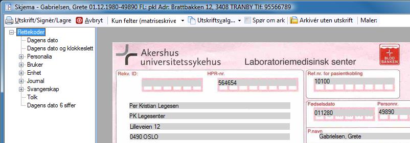 Skjemaet blir lagret i korrespondansen din under Sendte elementer. Mer om korrespondanse på side 131.