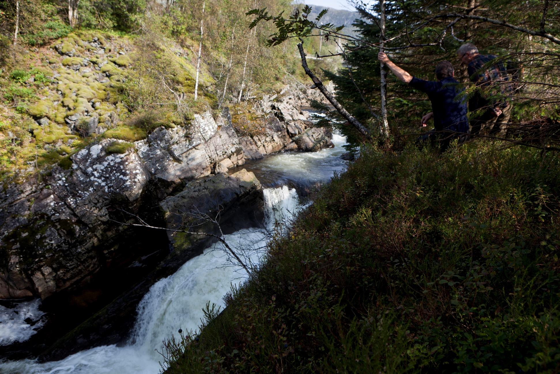 To nye laksetrapper Utnytte