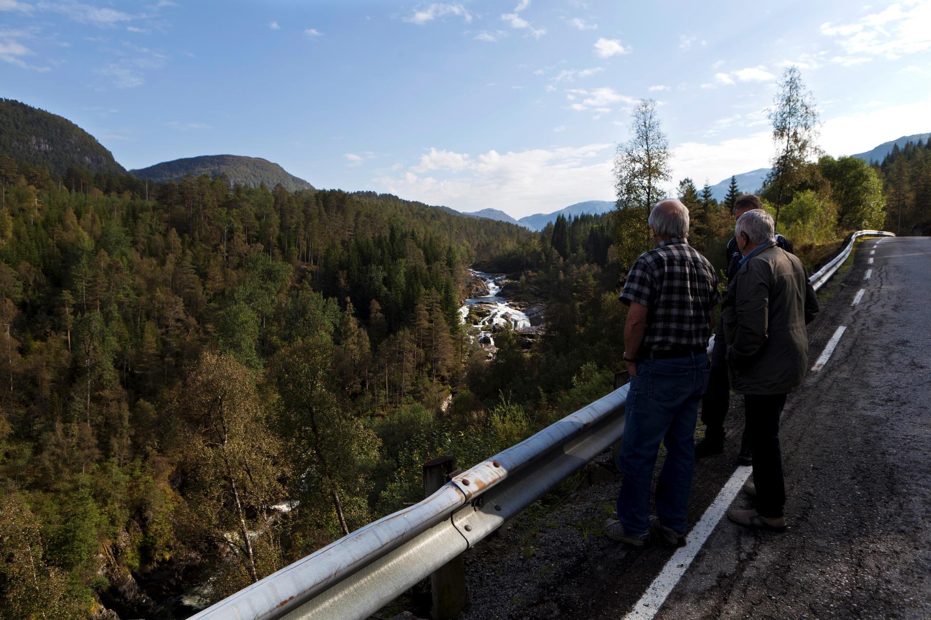 Transport av levande laks