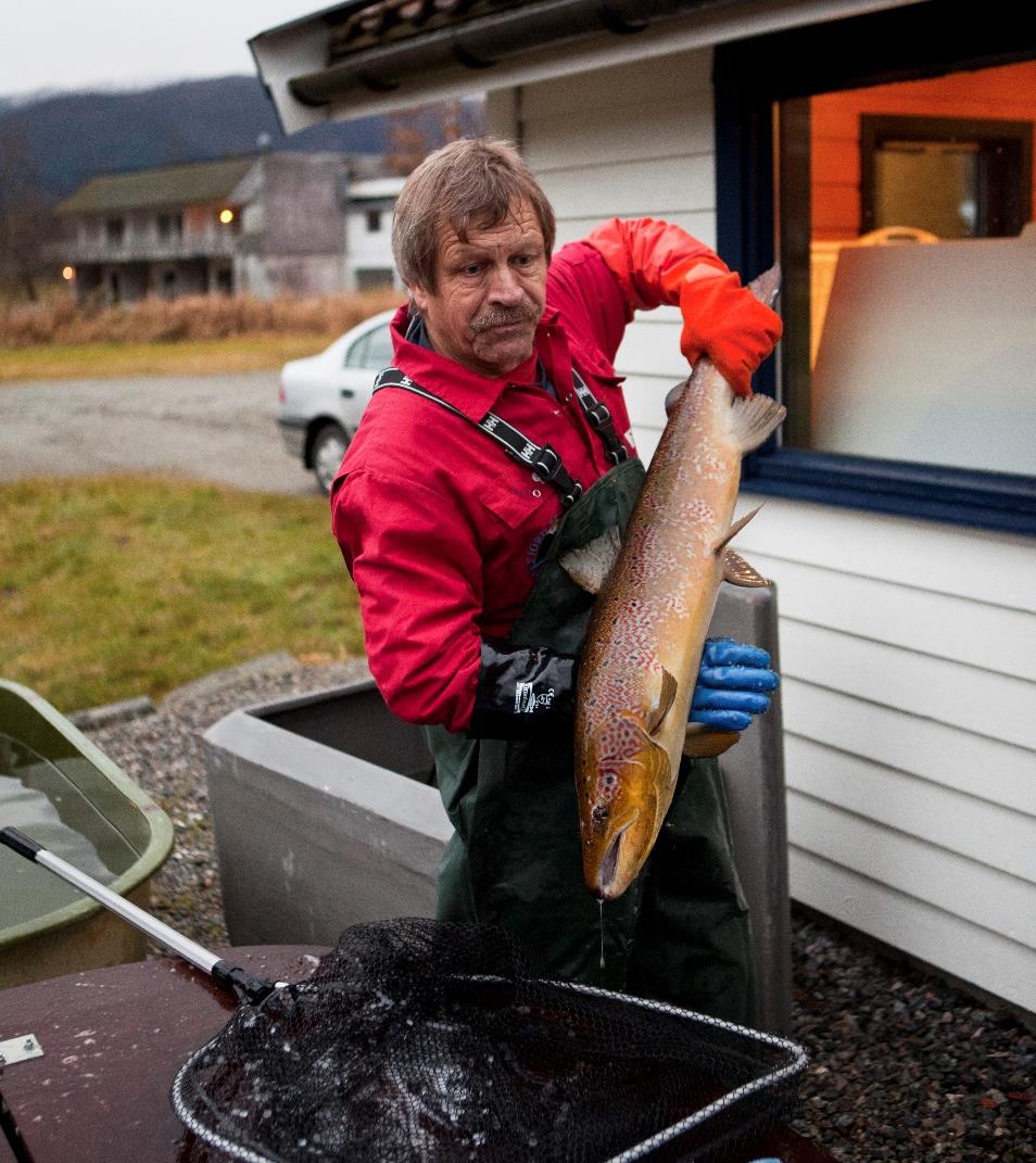 Retningslinjer for kultivering Supplement Område i vassdraget Tredelt kartlegging