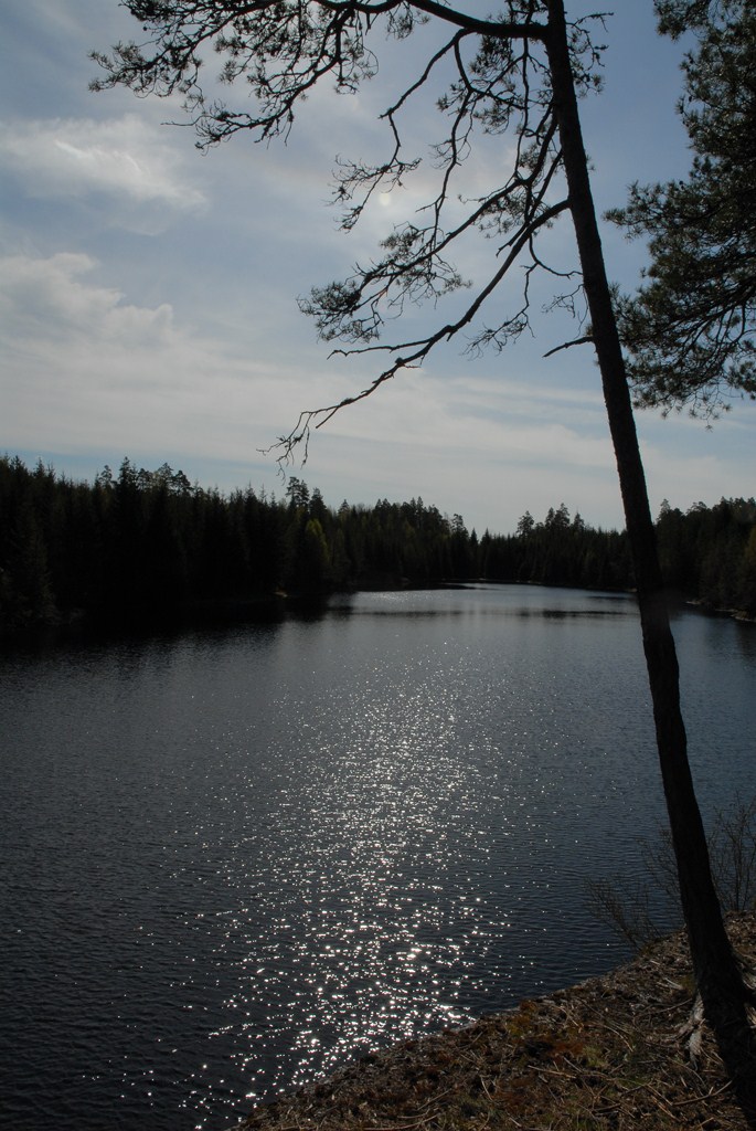 Høyde over havet: Fiskeslag: Fiskemetoder: 88m Ørret Kun fluefiske med fluestang Adkomst: Hallingsdalsvann er et lite skogstjern lengst vest i Vestmarka.