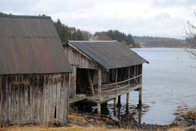 Fangstanlegg Av eksisterande fangstanlegg som representerer ein lang historisk tradisjon er teke med laksevorpa på Kråknes i Halsa og lakseteina på Flatvad i Sunndal.