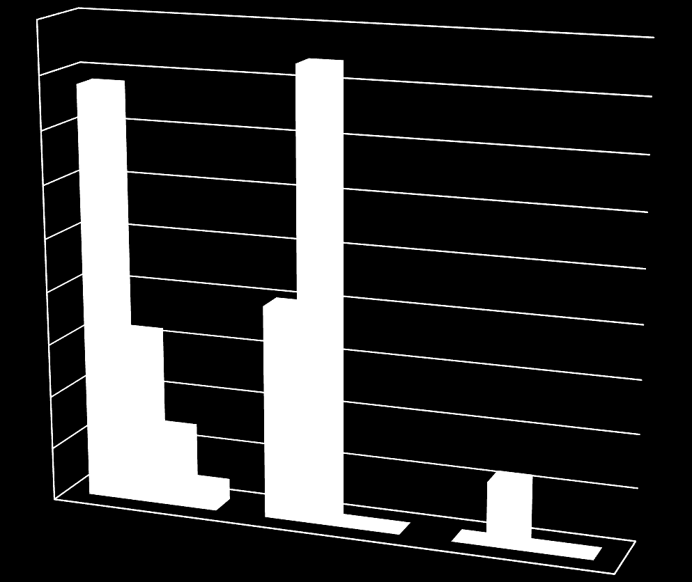 Tilstedeværelse 45 % 40 % 35 % 30 % 25 % 20 % 15 % 10 % 5 % 0 % HS mye tilstede i tjenesten/ god oppfølging