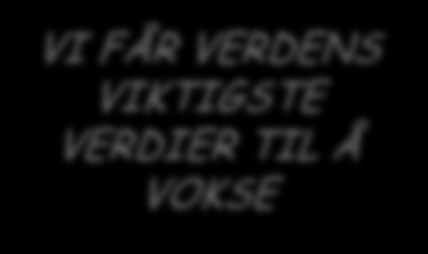 verdier til å vokse. "Vi" betyr at vi gjør det sammen. "Verdens viktigste verdier" er barna våre, som skal forme fremtiden.