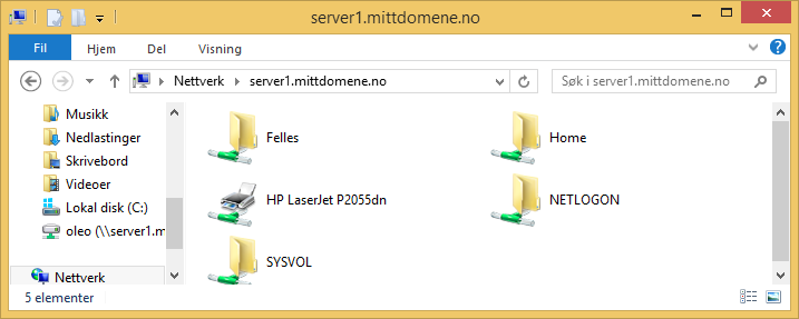 Hvis vi har satt opp korrekt Home folder på brukeren (\\server1.mittdomene.no\home\%username%), vil vi nå få opp brukerens private hjemmeområde som disken N: hvis vi ser på Min Datamaskin.