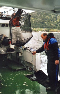 KapiTtel 1 forvaltning av kysten kyst og havbruk 2007 71 Foto: Bengt Finstad Figur 1.17.4 Skisse av stasjonær forankring og bøyeoppheng for smoltmerd under og bilde av selve smoltmerden til høyre.