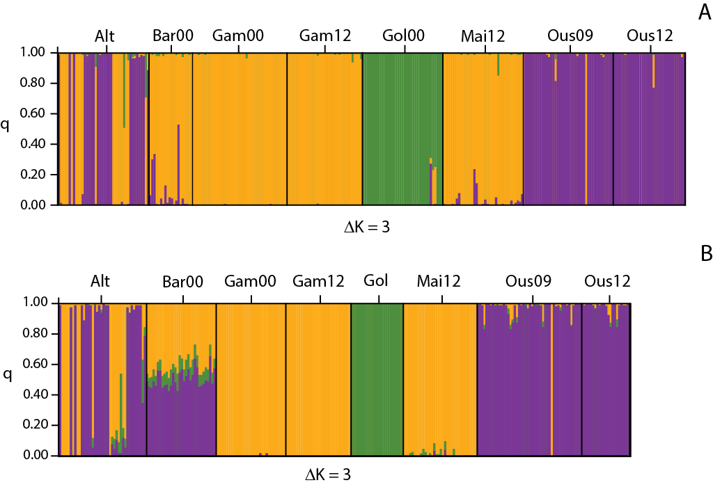 Figur 4. STRUCTURE-analyse med 19 mikrosatellitter (A) og 3135 SNPs (B) av de otte prøver inkludert i denne undersøkelse.