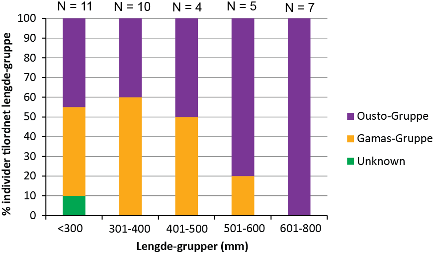 Figur 5. Sammenheng mellom lengde og tilhørighet for de 37 Altevatnindivider. Lengden (mm) av individene ble gruppert i grupper av 100 mm.