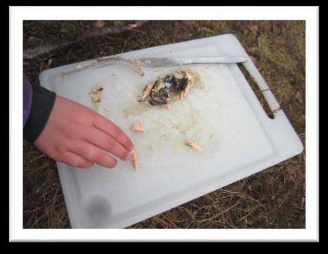 4 På inne ettermiddagene har vi prøvd å fått til en liten hvilestund, med massasje på lillerommet. Veldig deilig og rolig stund der barna er to og to og masserer hverandre.