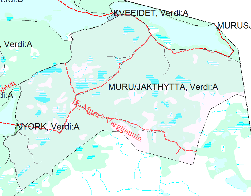 Virkninger og hensyn r i Lierne kommune Nyork (A), Murusjøen (C), Vollmoen (B), Ole Sand (A), Loklisand, Ingelsfossen (A) Områdene er en mye brukte badeplasser, men brukes ikke til dette på