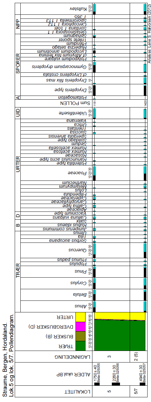 11 Figur 7. Pollendiagram for prøver fra lok. 5 og lok.