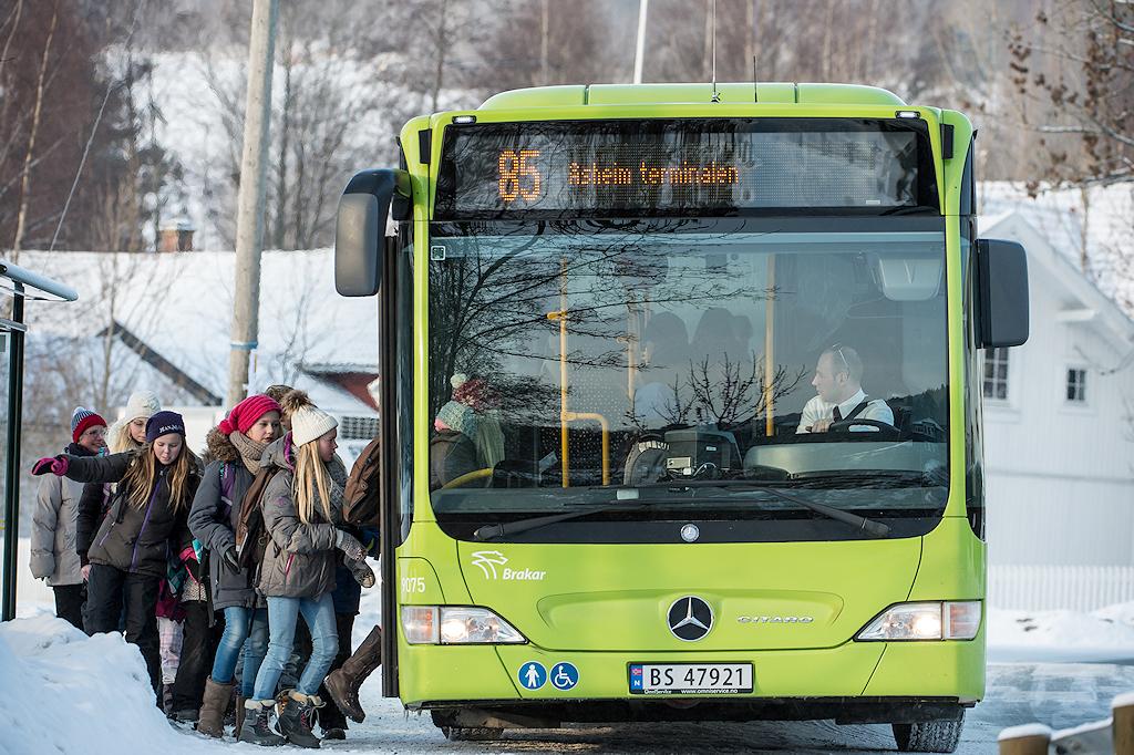 Høringsversjon mars 2013