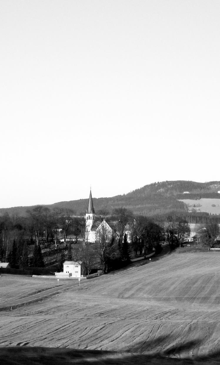 Om (gamle) Sparebanken Hedmark Og