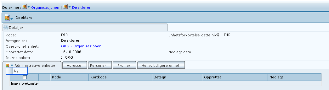 For store virksomheter med mange administrative enheter med underliggende like navn, kan det være lurt å bestemme seg for en logisk navn- og organisatorisk struktur som bygges opp med kode fra