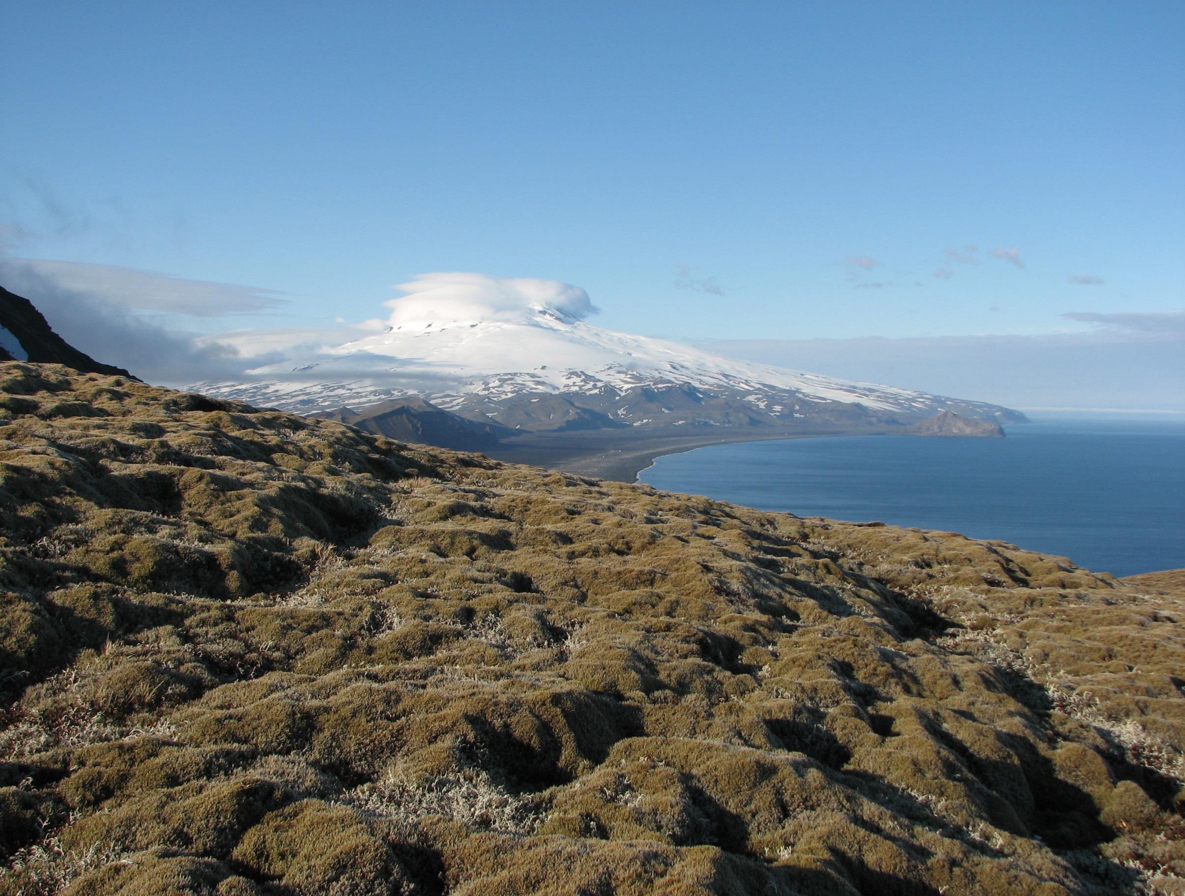 Forvaltningsplan for Jan Mayen