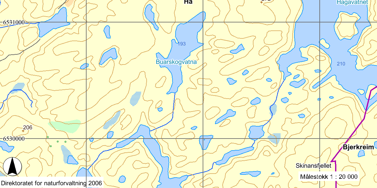 sammenheng. Ingen enkeltlokaliteter framheves ikke spesielt, da planten finnes spredt i hele planområdet. Tabell 4.2.