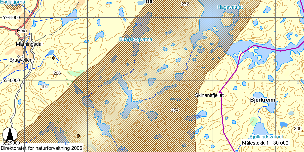 1 2 Figur 4.7. Viktige lokaliteter for fugl i planområdet. Figurforklaring: Kartet viser leveområde for orrfugl og hekkeplass for svartstrupe (rødt plott) 4.6.