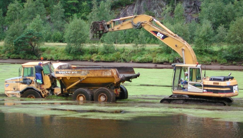 Fjerning av krypsiv på Smeland, Åseral. Foto: Svein Haugland Over marin grense er forsuring av vannet som følge av langtransportert forurensing den desidert hyppigst registrerte påvirkning i regionen.