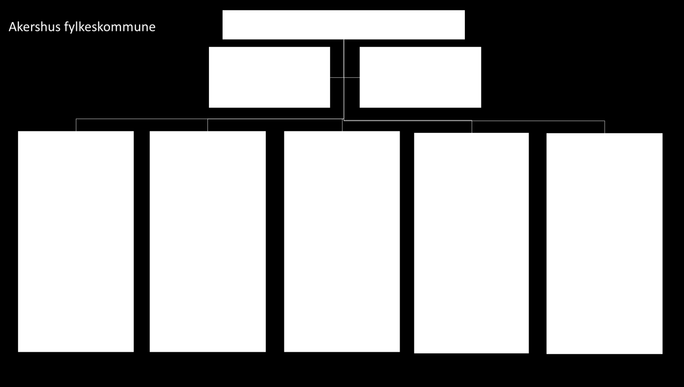 4. Organisasjon og administrative funksjoner 4.