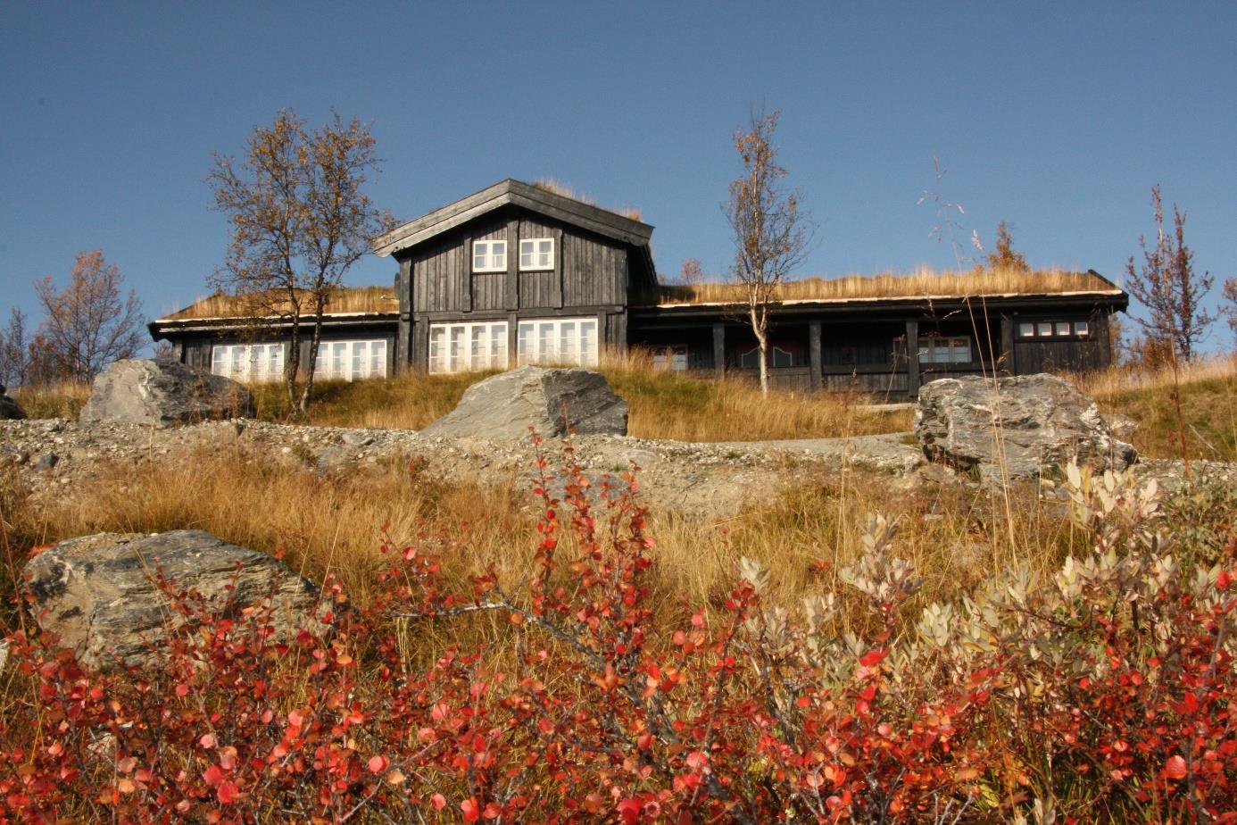 RUNDT LEIRBÅLET Samle flokken din på fjellet, og nyt