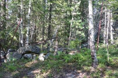 Vindfall over gjerdet på nordsiden, gjerdet helt nedbrutt på vestenden. Gjerdet repareres.