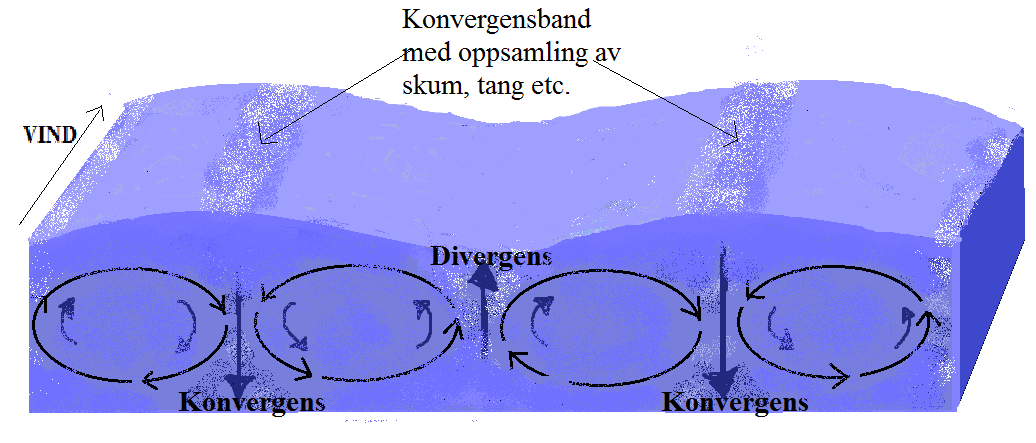 forholdet Zeu/Zm vil være < 1. Forholdet Zeu/Zm er viktig for organismene som lever i vannsøylen siden forholdet beskriver lysregimet de lever i.